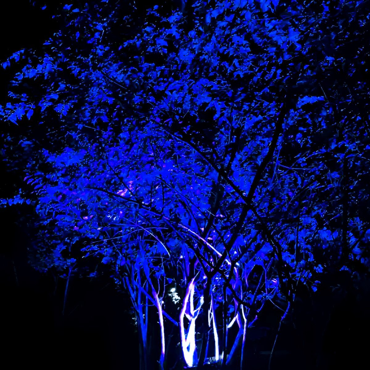 Wasserdichter RGB LED-Gartenstrahler mit Fernbedienung